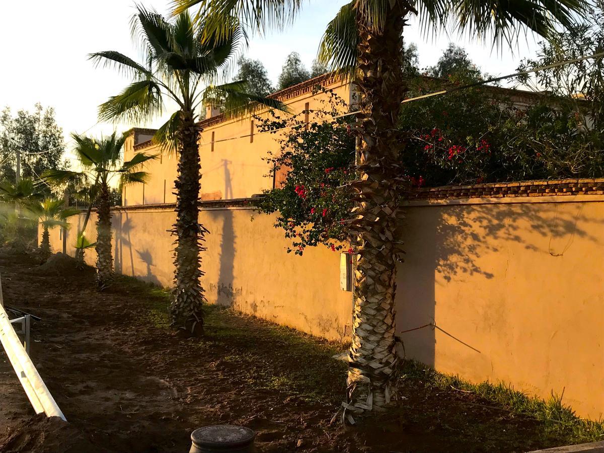 Palais Souad Villa Marrakesh Exterior photo